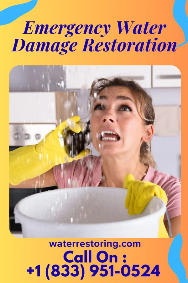Emergency Water Damage Restoration in Junction City, AR